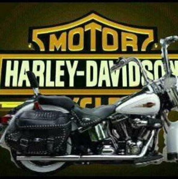 Meet your Posher, Jeffrey - Picture 1 of 1